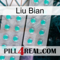 Liu Bian 29